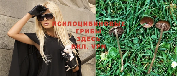 ешки Нефтекумск