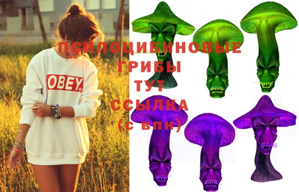 ешки Нефтекумск