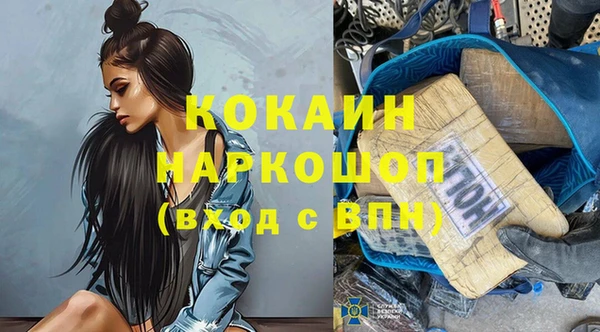 стаф Нея
