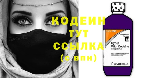 стаф Нея