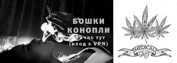 стаф Нея