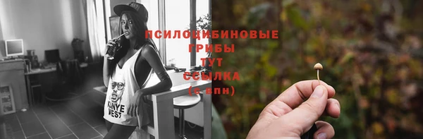 меф Нефтегорск
