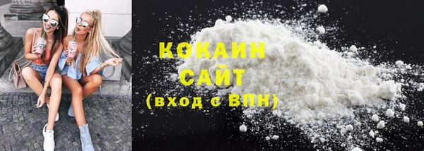 стаф Нея
