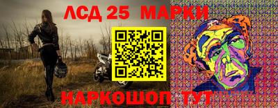 индика Гусев
