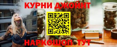 индика Гусев