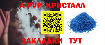индика Гусев