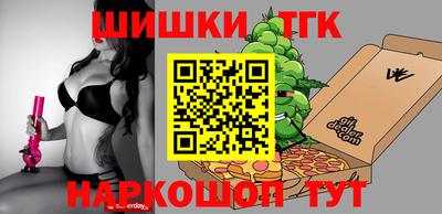 индика Гусев