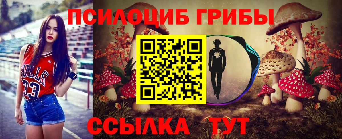 дарнет шоп  Кострома  Псилоцибиновые грибы ЛСД 