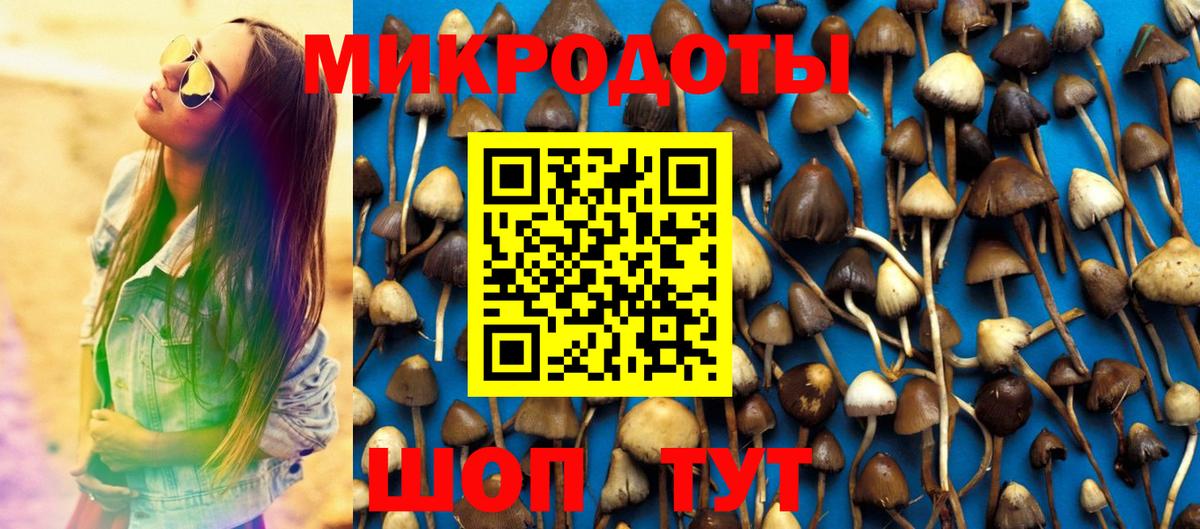 Псилоцибиновые грибы Cubensis Кострома