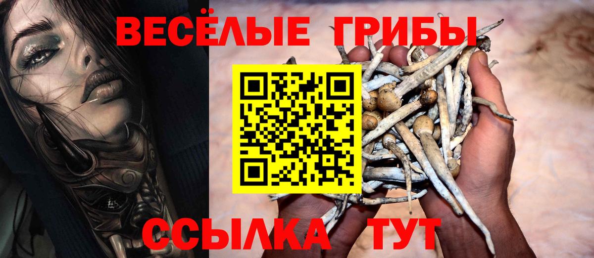 Псилоцибиновые грибы MAGIC MUSHROOMS  Вход с VPN  Псилоцибиновые грибы Psilocybine cubensis  Кострома 